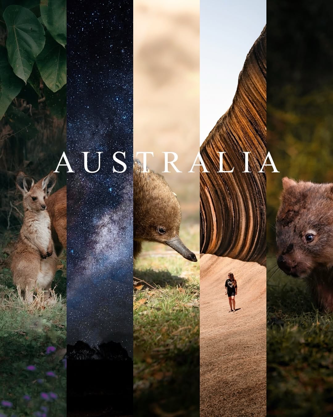 Post 2 by 𝗘𝗡𝗭𝝝  ✘ ᒍOY  │ Travel Photographers on Instagram (carousel)