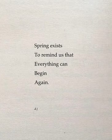 Post 6 by Tiphaine 🍀 on Instagram (carousel)