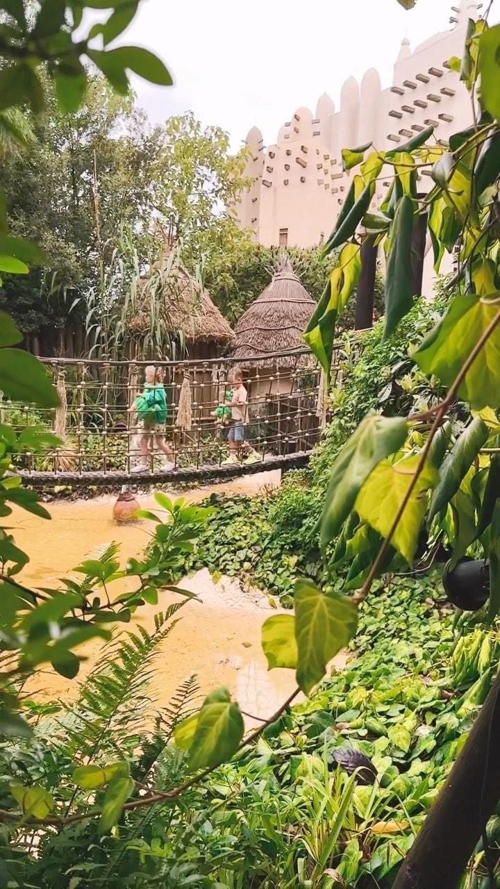 Post 8 by Jeffrey Steevens on Instagram (video)