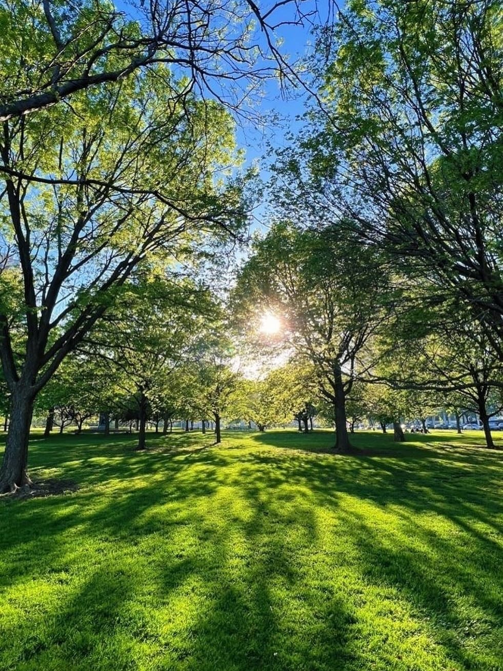 Post 8 by C🥥C🥥 on Instagram (image)
