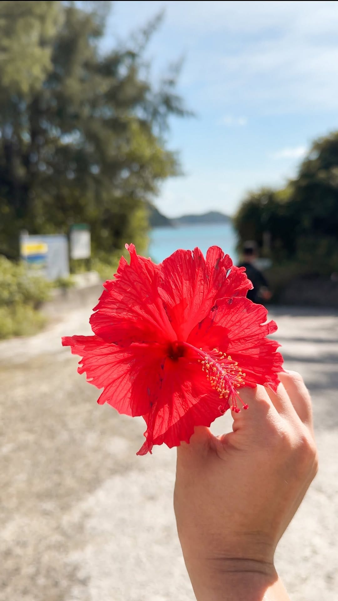 Post 5 by Fran Magiera | Japan Travel on Instagram (video)