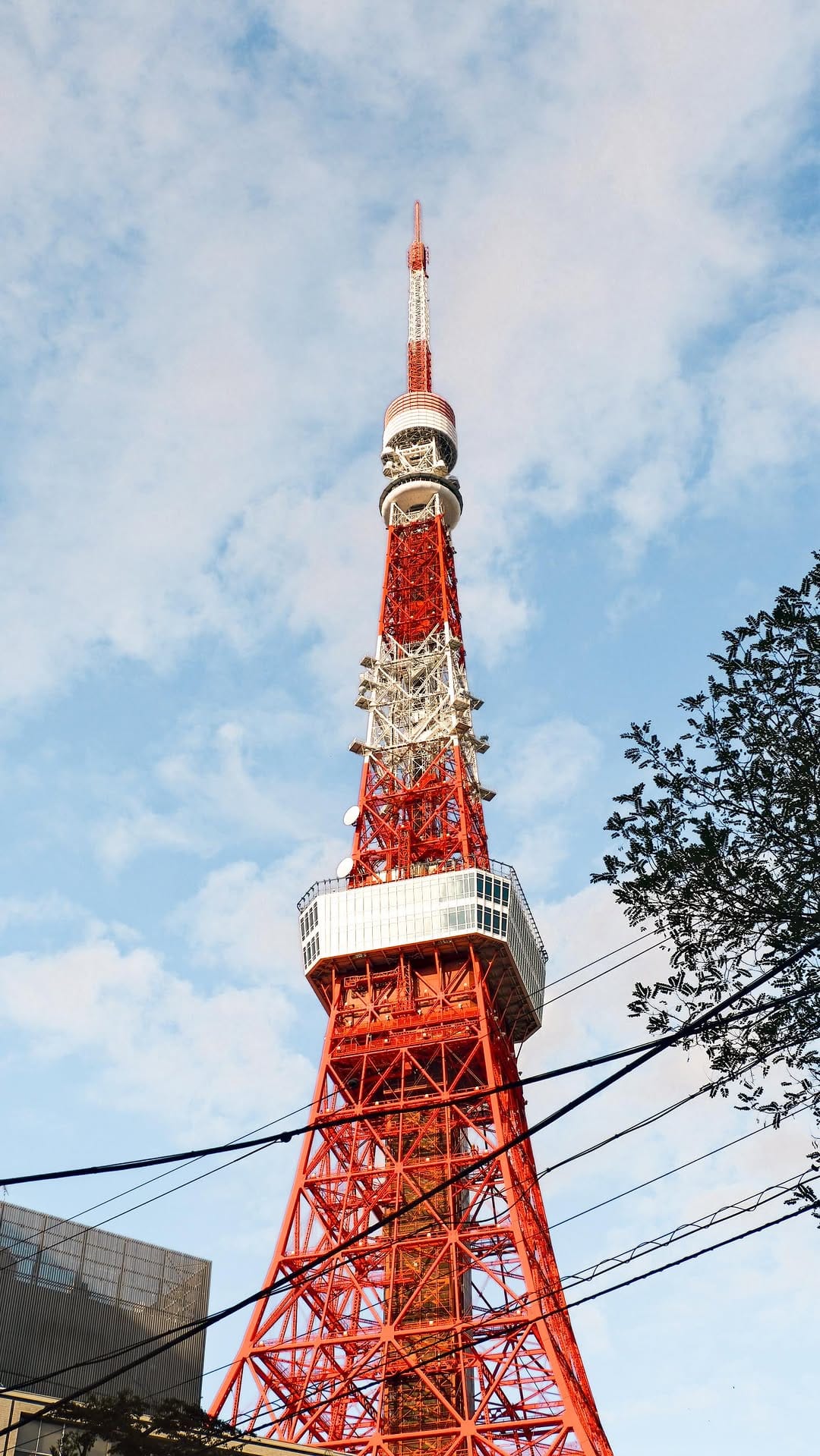 Post 8 by Fran Magiera | Japan Travel on Instagram (video)