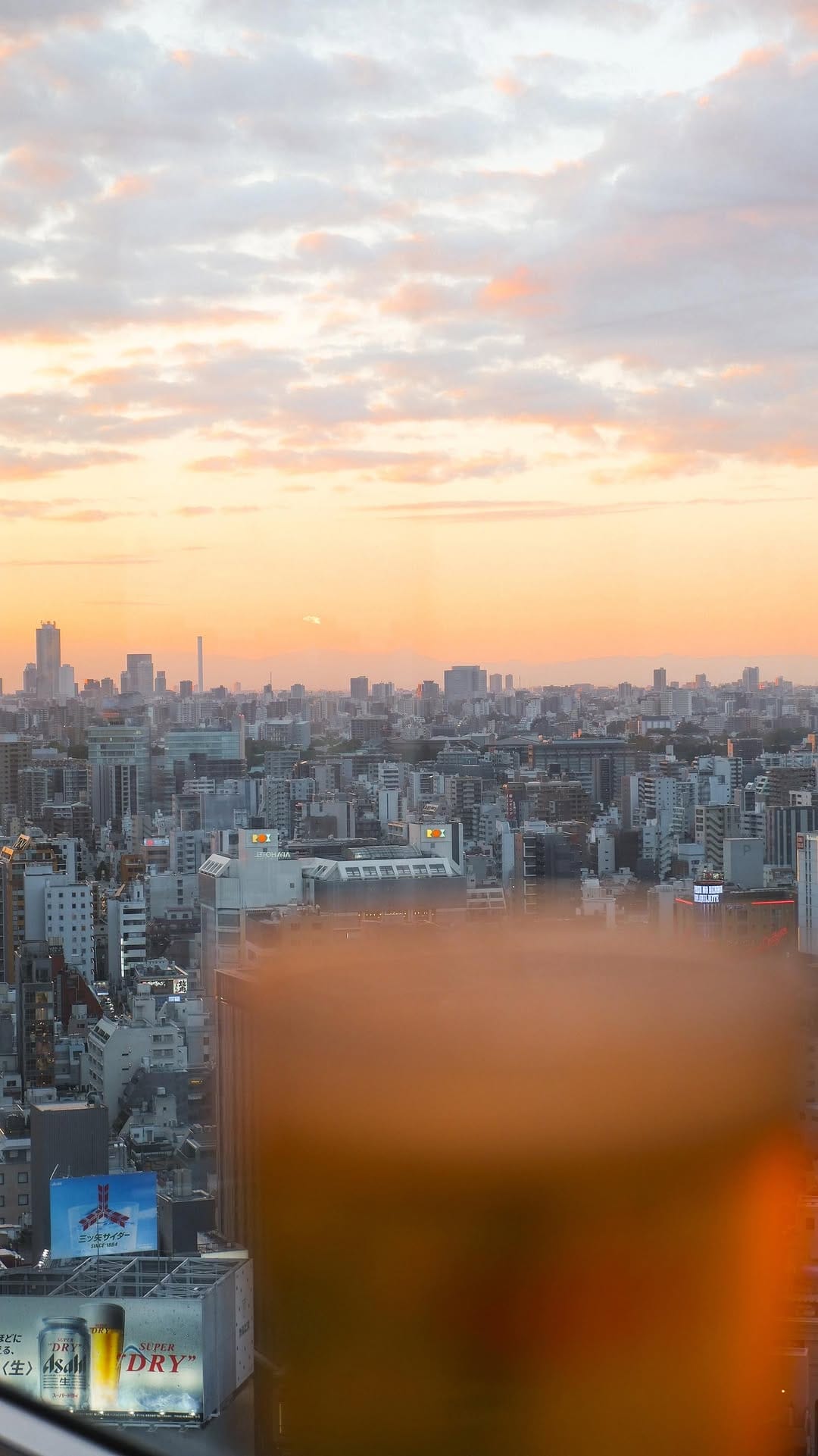 Post 10 by Fran Magiera | Japan Travel on Instagram (video)