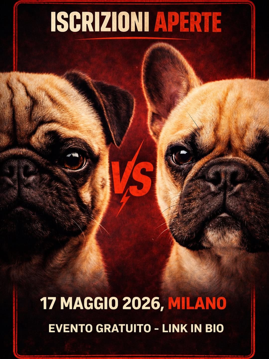 Post 5 by America + Arizona  |  French Bulldog on Instagram (image)