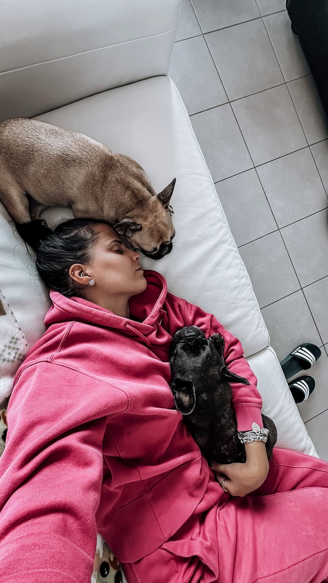 Post 1 by America + Arizona  |  French Bulldog on Instagram (video)