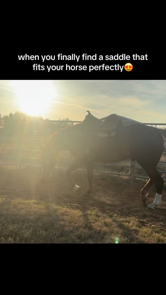 Post 6 by cailyn s on Instagram (video)