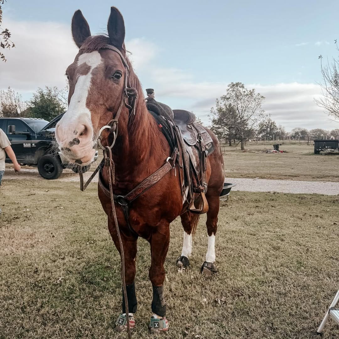 Post 9 by cailyn s on Instagram (carousel)