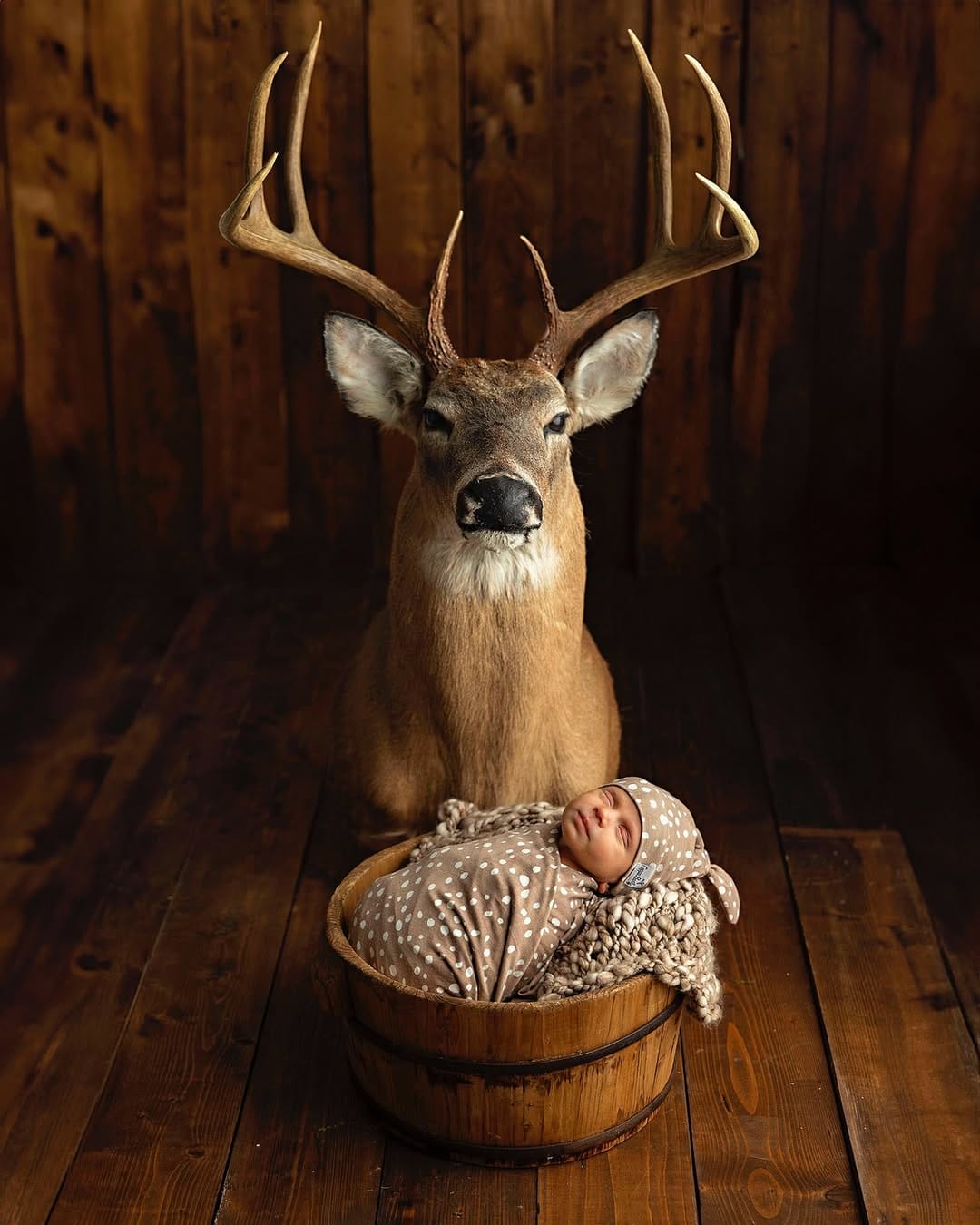 Post 7 by Tara Swain Photography, LLC on Instagram (image)