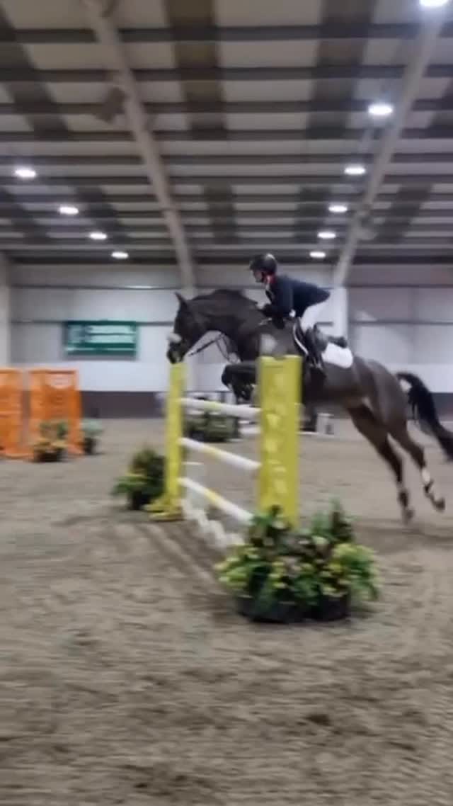 Post 4 by Tom McEwen on Instagram (video)