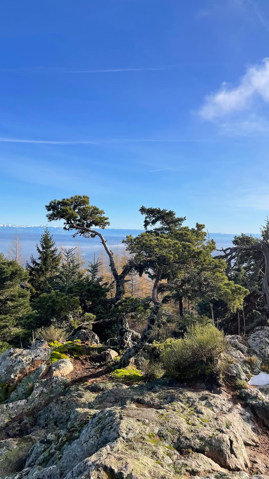 Post 1 by Camille | Running, Swimming & Hiking on Instagram (video)