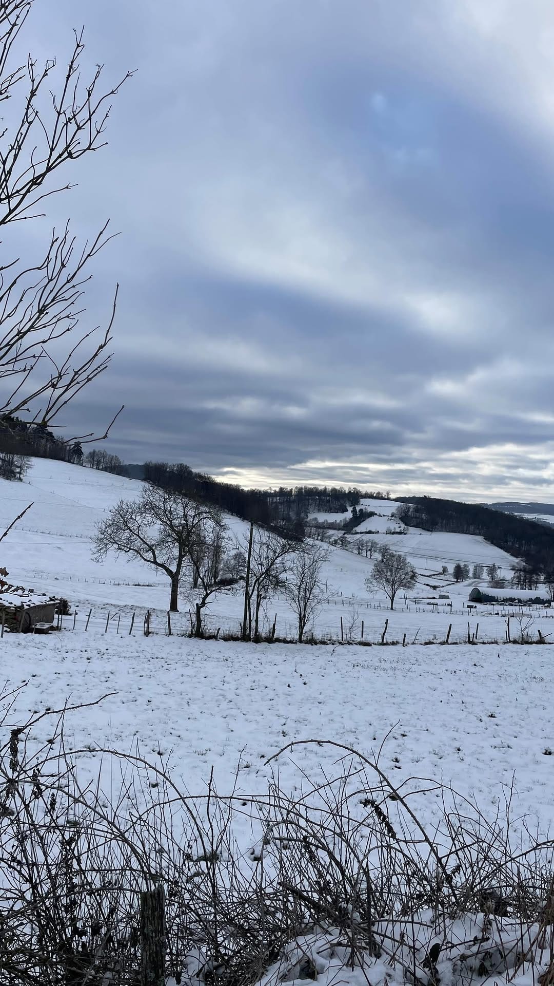 Post 4 by Camille | Running, Swimming & Hiking on Instagram (video)