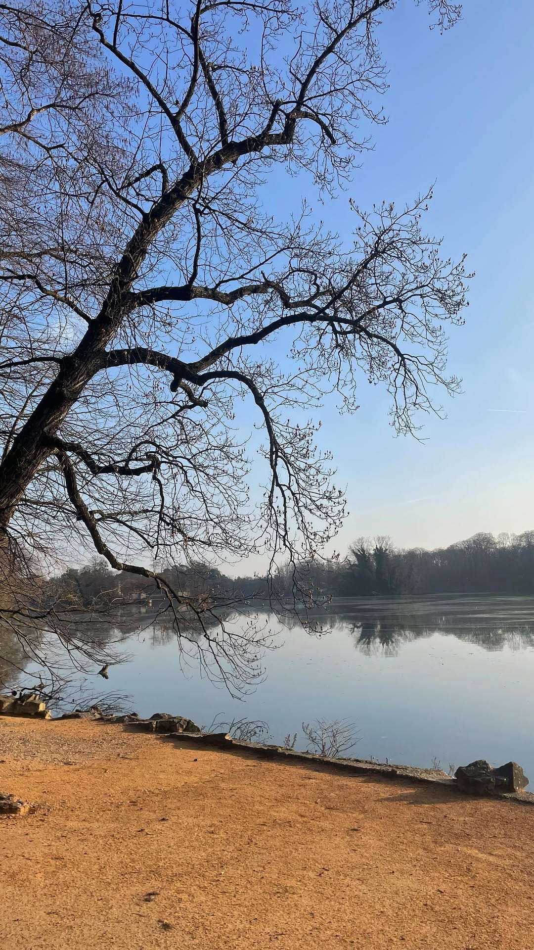Post 9 by Camille | Running, Swimming & Hiking on Instagram (video)