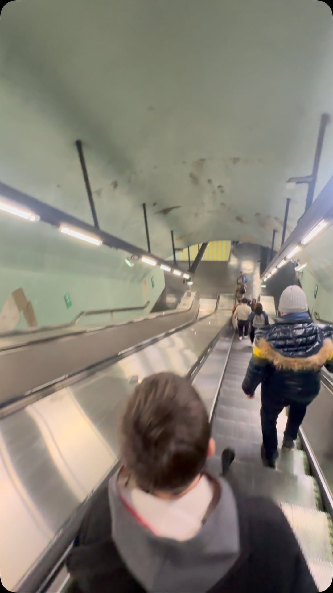 Post 6 by Jamil Rassi on Instagram (video)