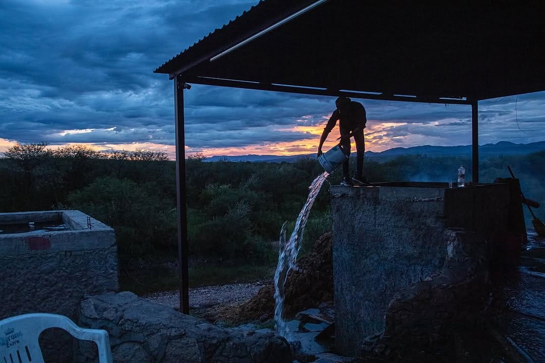 Post 9 by Evan Sung on Instagram (image)