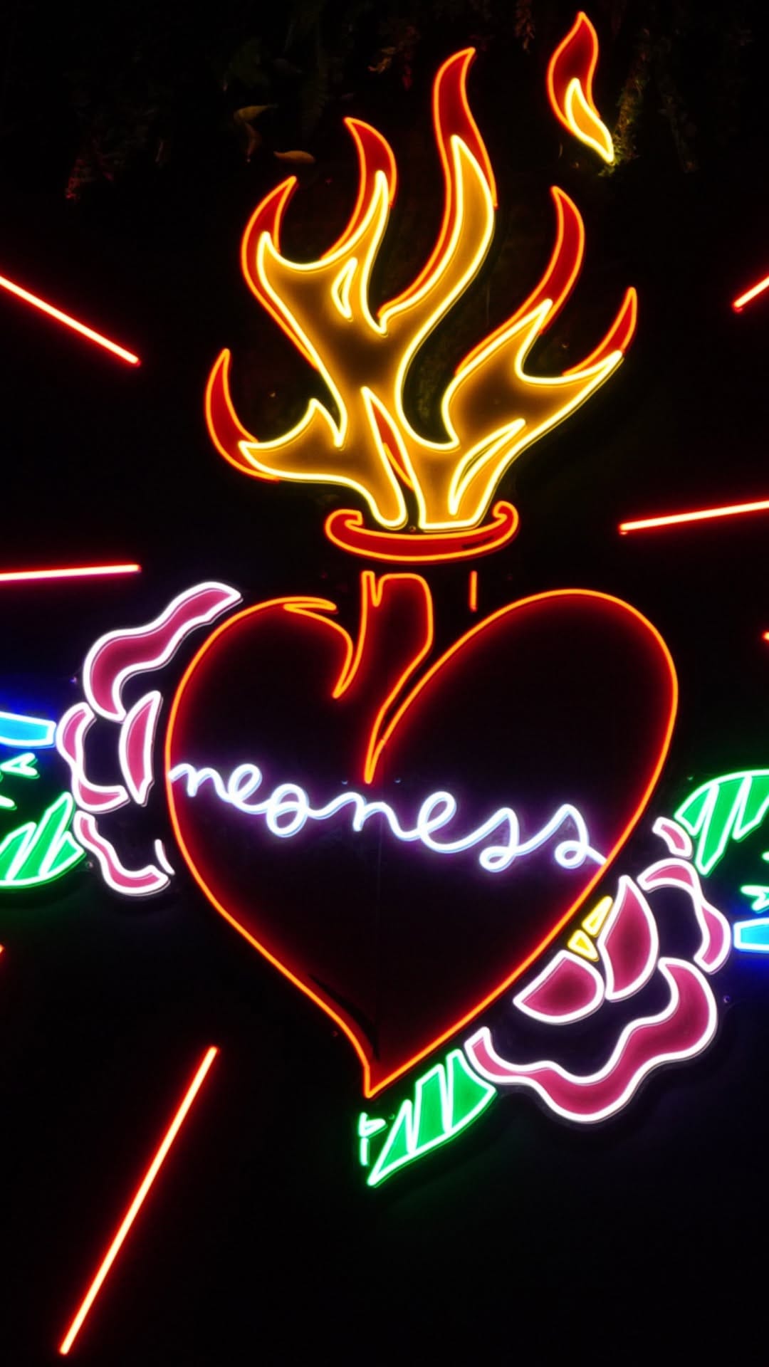 Post 1 by Neoness on Instagram (video)