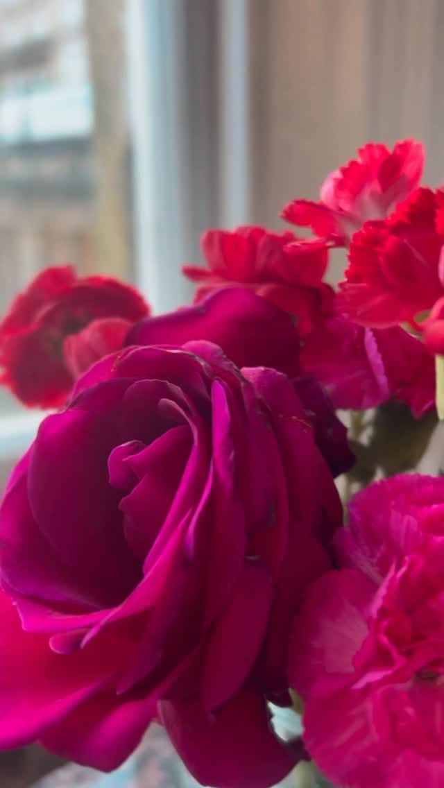 Post 7 by Manuela Clierxter on Instagram (video)