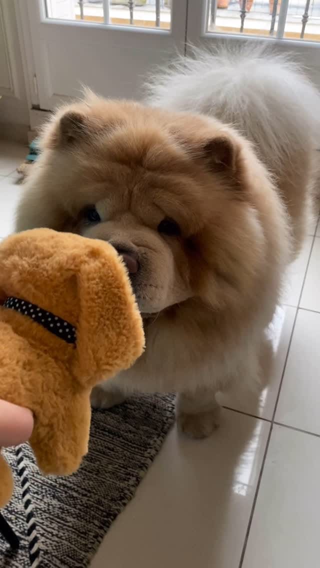 Post 10 by Bow🌈 Nuage☁️’s brother on Instagram (video)