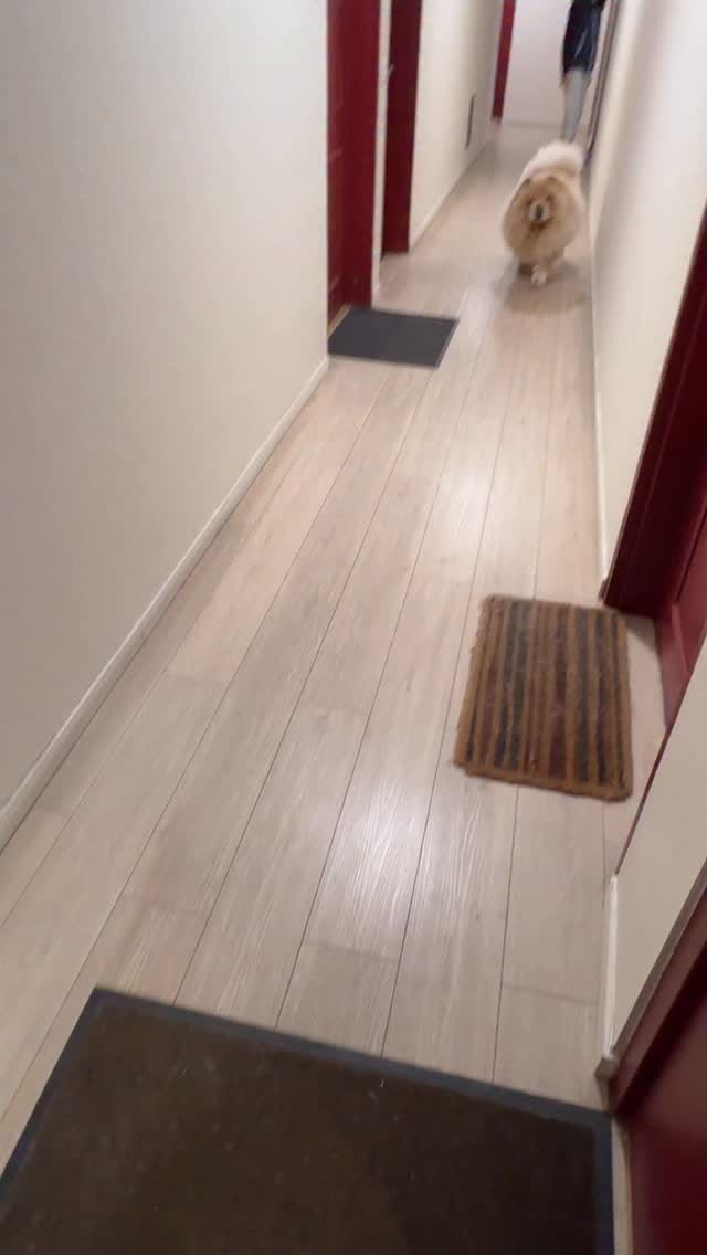 Post 7 by Bow🌈 Nuage☁️’s brother on Instagram (video)