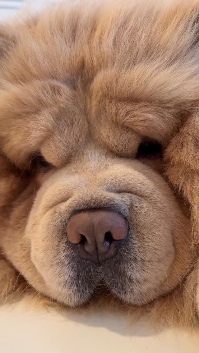 Post 6 by Bow🌈 Nuage☁️’s brother on Instagram (video)