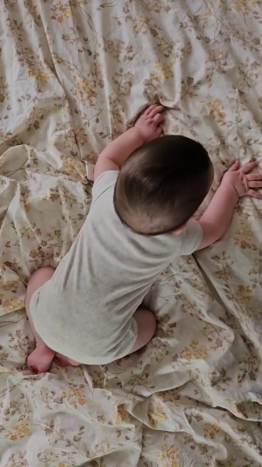 Post 1 by Niloofar Montazeri on Instagram (video)