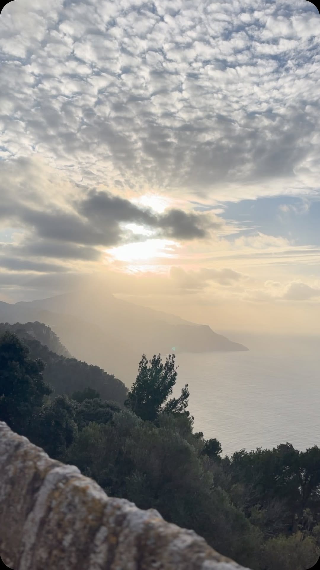 Post 7 by Carolina De Salvo on Instagram (video)