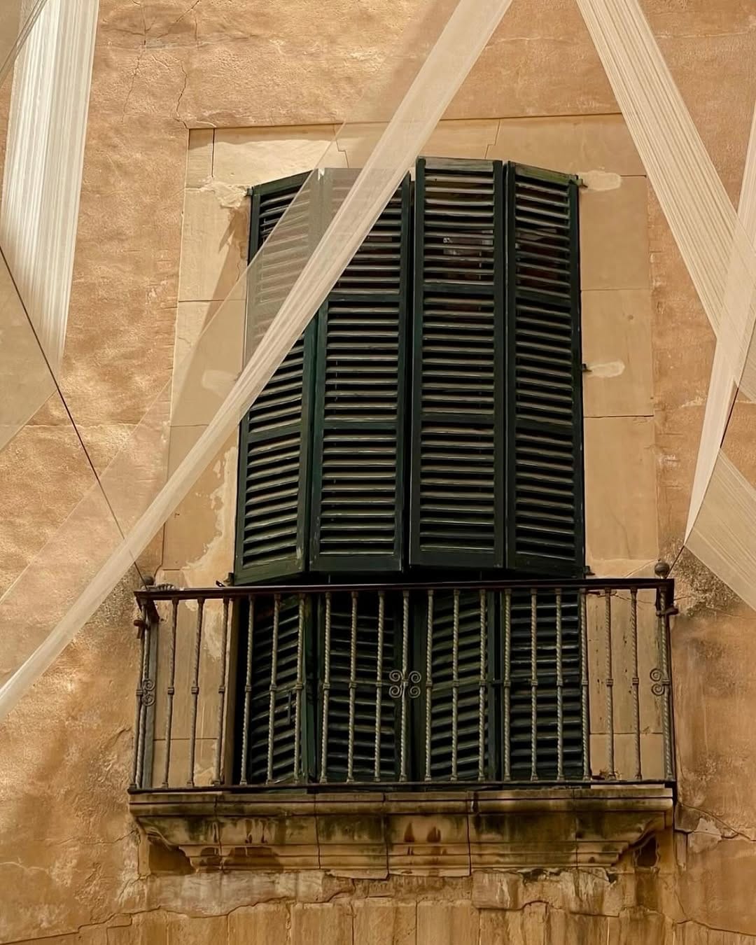 Post 5 by Carolina De Salvo on Instagram (image)