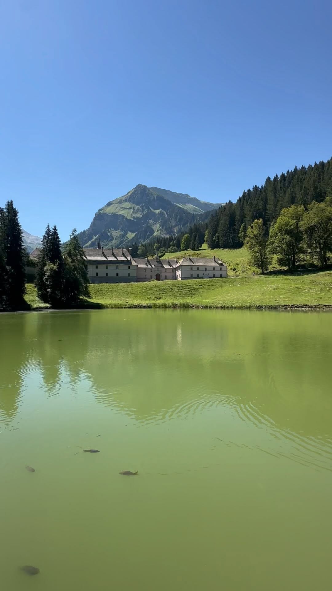 Post 1 by Michaël on Instagram (video)