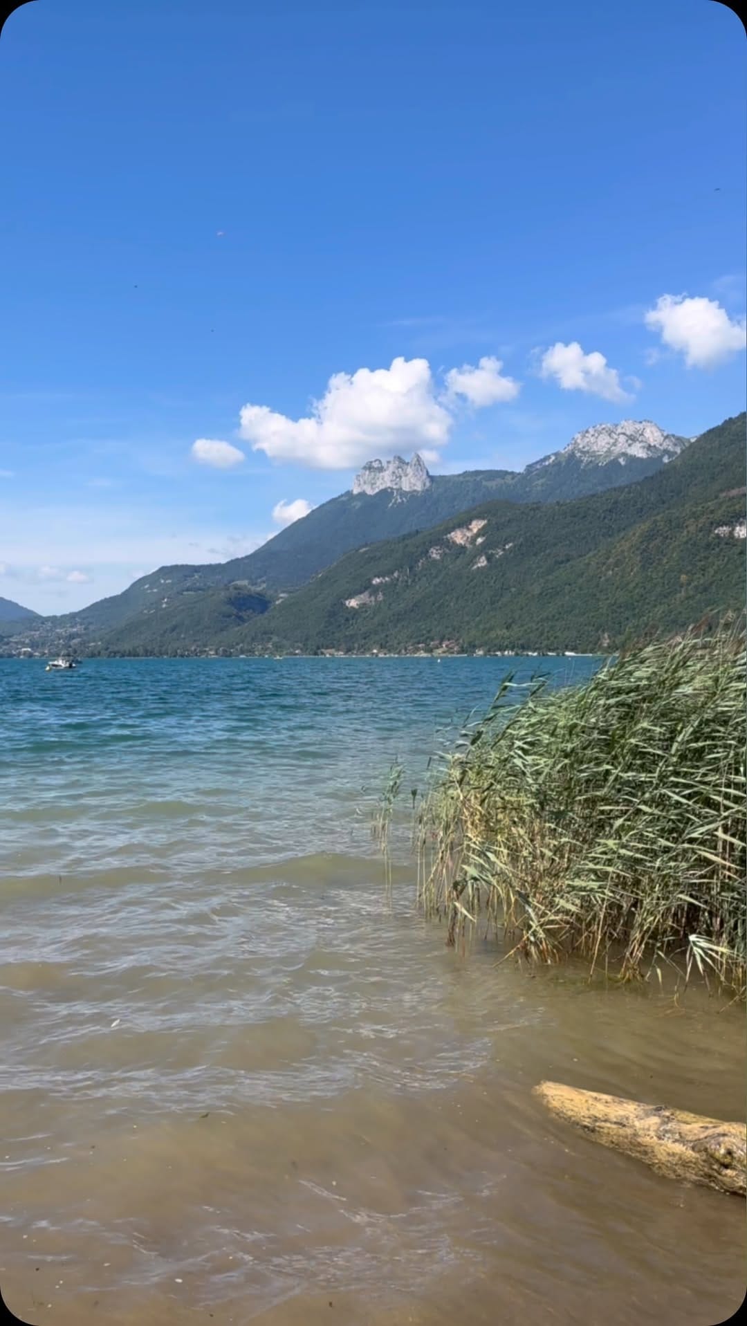 Post 3 by Michaël on Instagram (video)