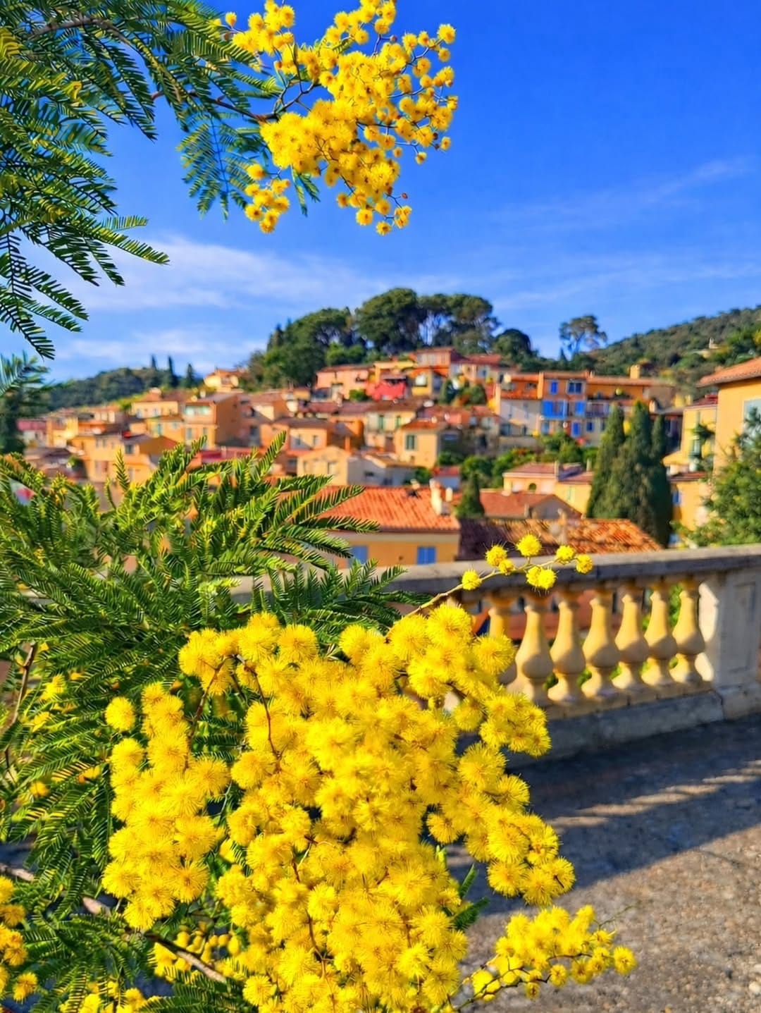 Post 1 by Experience The French Riviera on Instagram (image)