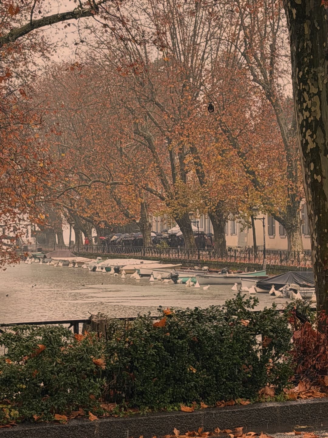 Post 3 by Toma Pfister on Instagram (image)