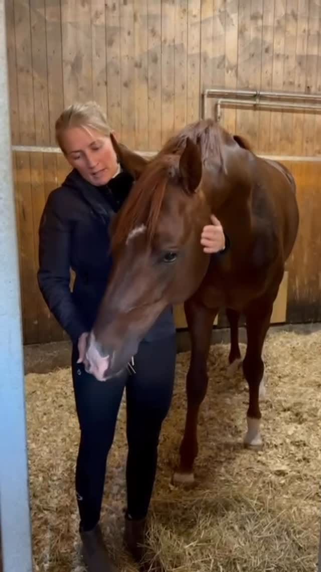 Post 10 by Nanna Merrald on Instagram (video)