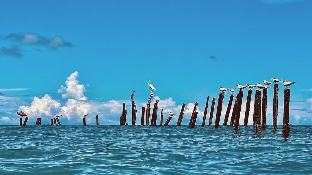 Post 1 by 𝕁𝕦𝕝𝕖𝕤 𝕄𝕠𝕣𝕖𝕥𝕥𝕚 🇫🇷🇺🇸 on Instagram (image)