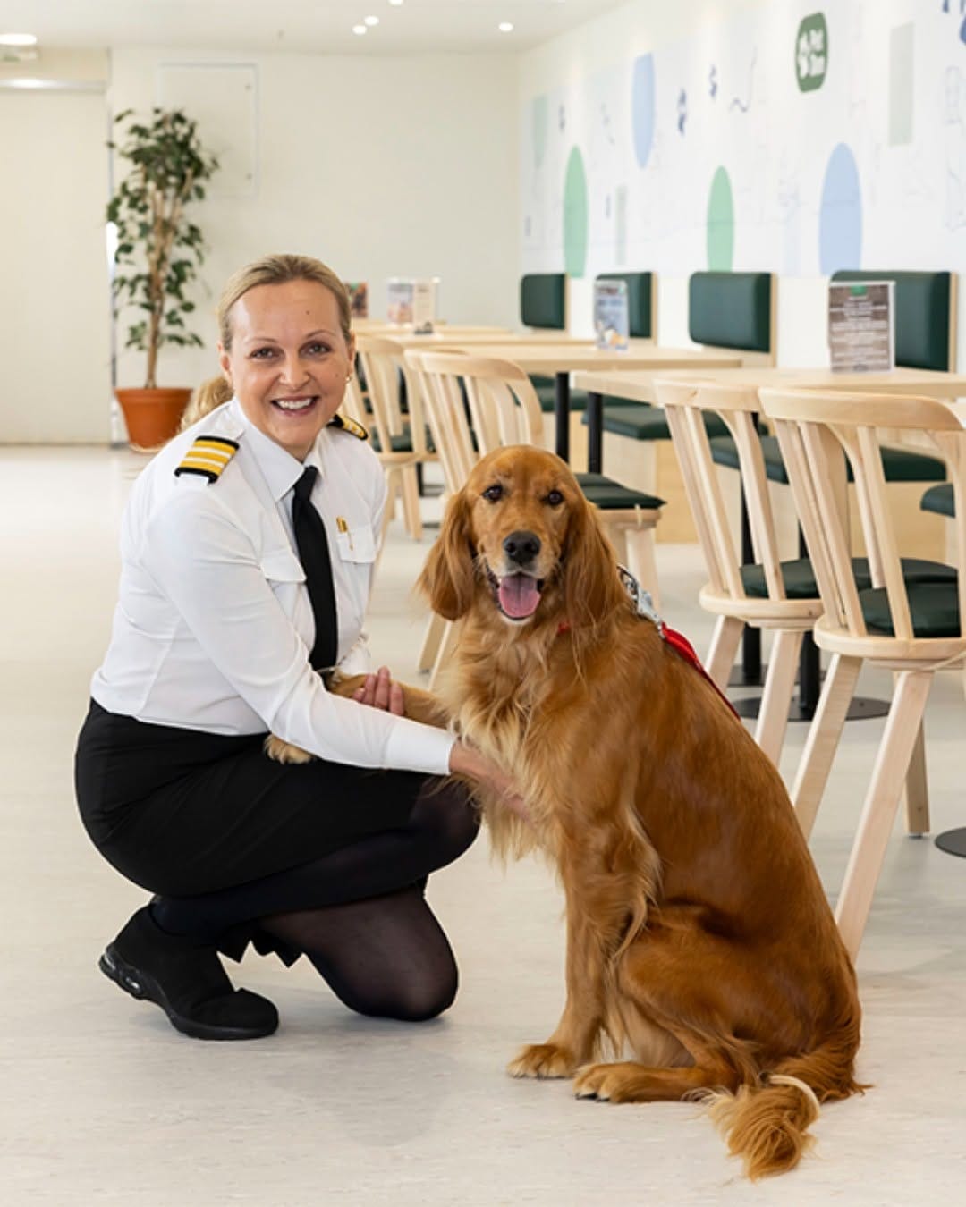 Post 10 by Irish Ferries on Instagram (carousel)