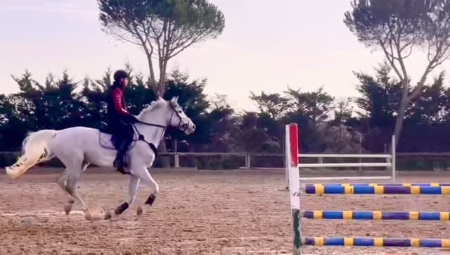 Post 1 by Gabriel Zagni Minucci on Instagram (video)