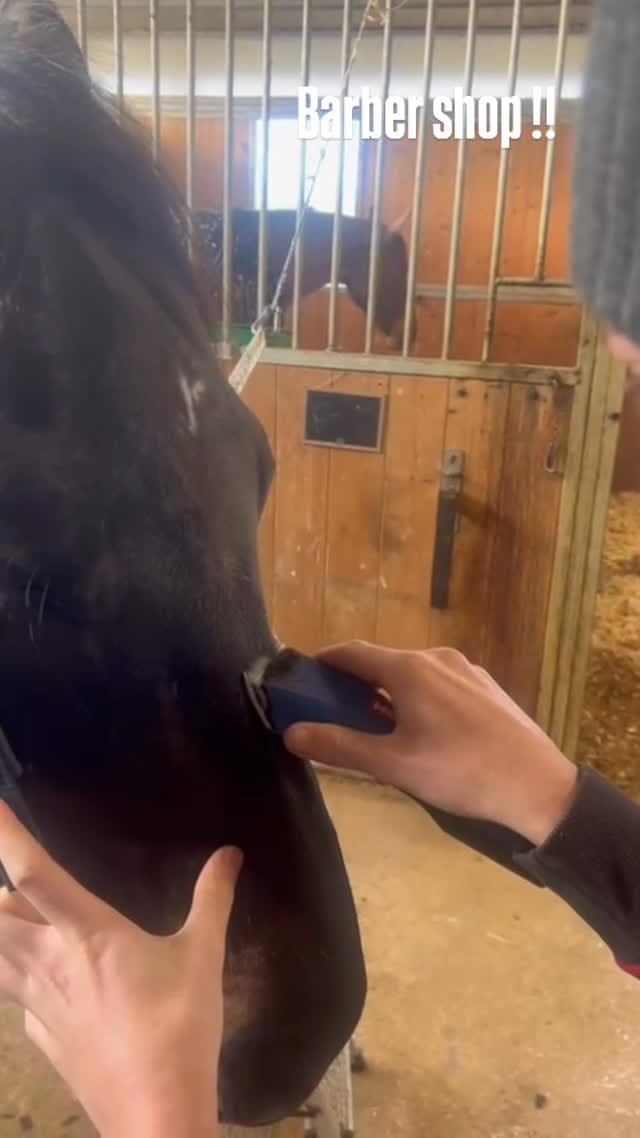 Post 3 by Gabriel Zagni Minucci on Instagram (video)