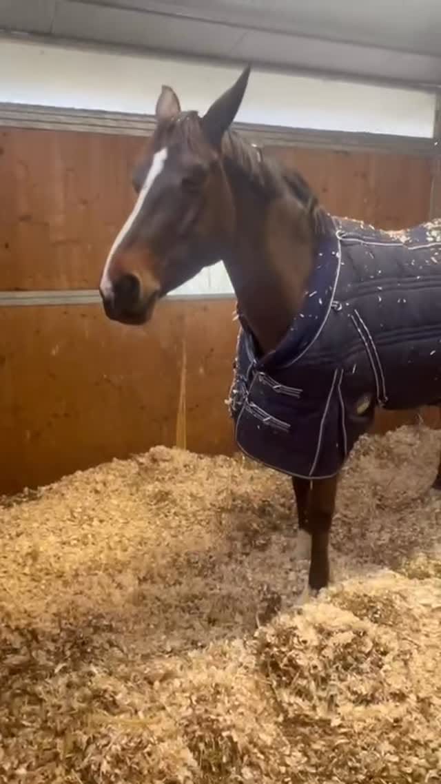 Post 9 by Gabriel Zagni Minucci on Instagram (video)