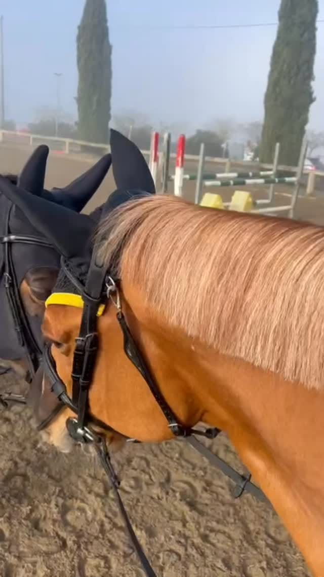 Post 6 by Gabriel Zagni Minucci on Instagram (video)