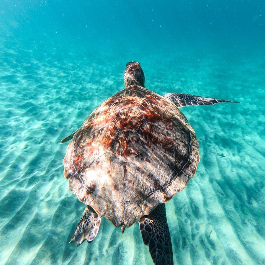 Post 9 by 𝑳𝑨𝑼𝑹𝑨 - Travel Lover 🌎 on Instagram (image)