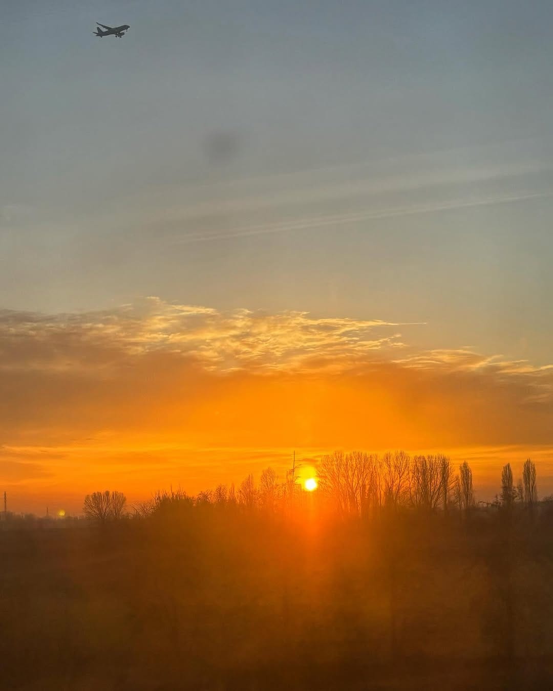 Post 7 by Nicola Williams on Instagram (image)