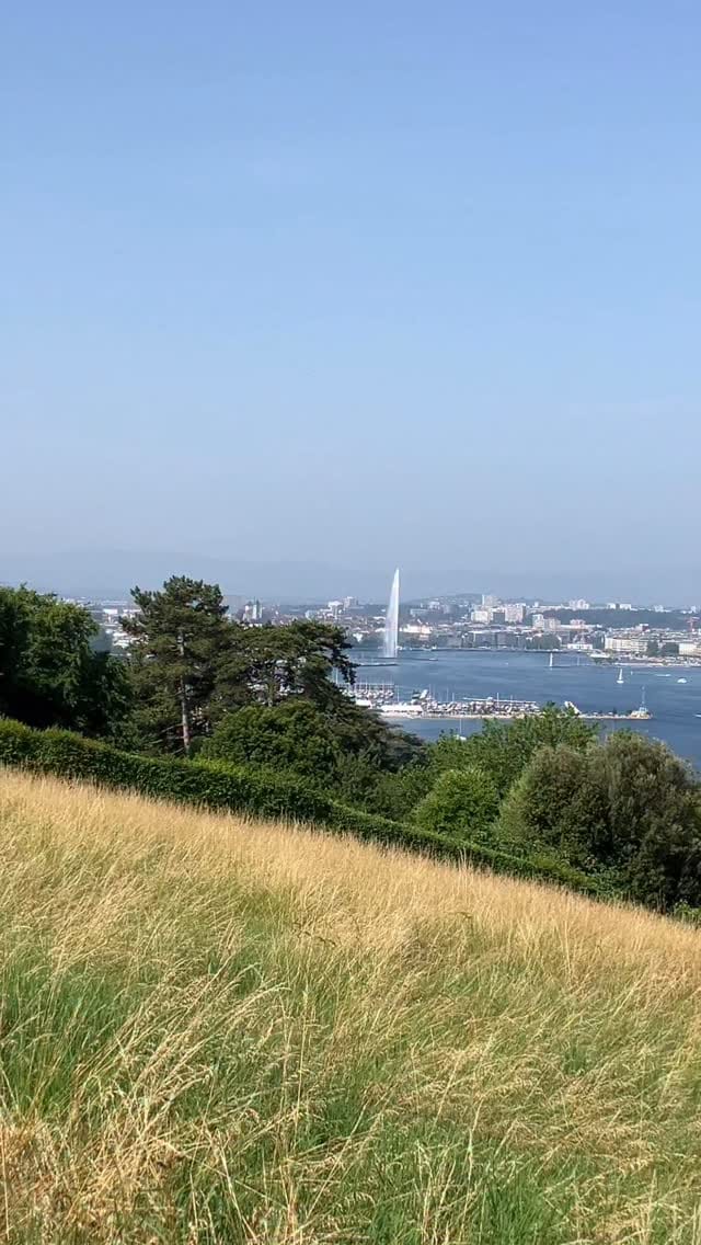 Post 2 by Nicola Williams on Instagram (video)