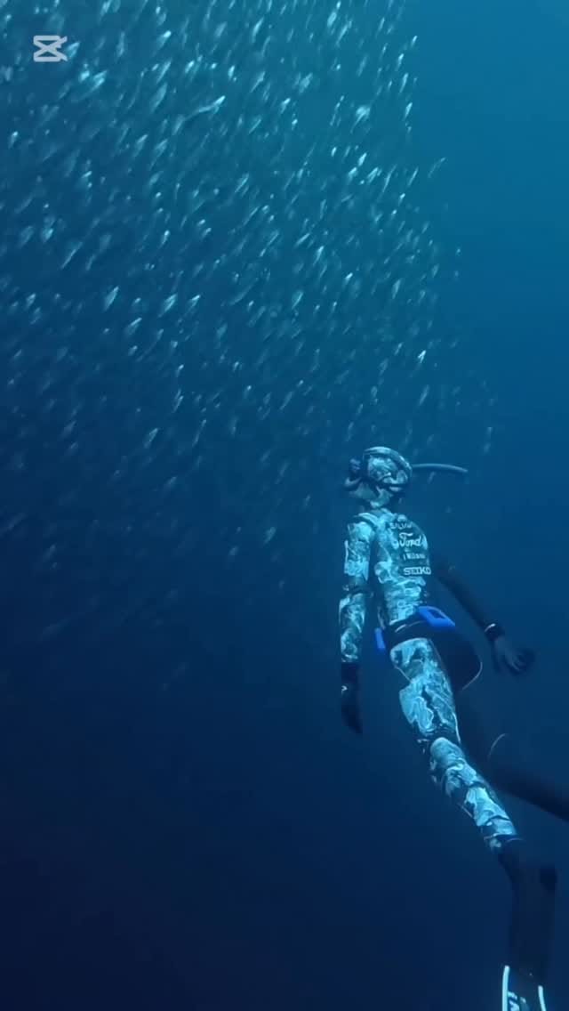 Post 6 by Francesco Sena on Instagram (video)
