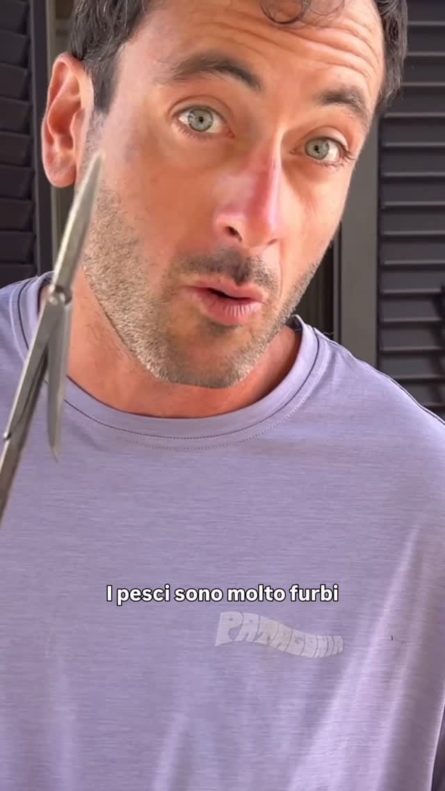 Post 1 by Francesco Sena on Instagram (video)