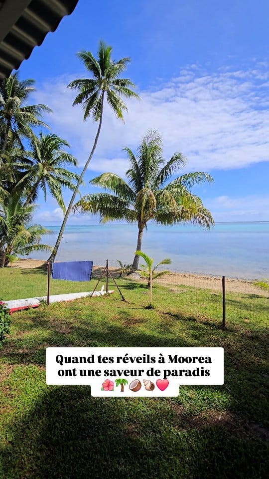 Post 7 by Lovers Travelers 🌴 Voyage on Instagram (video)
