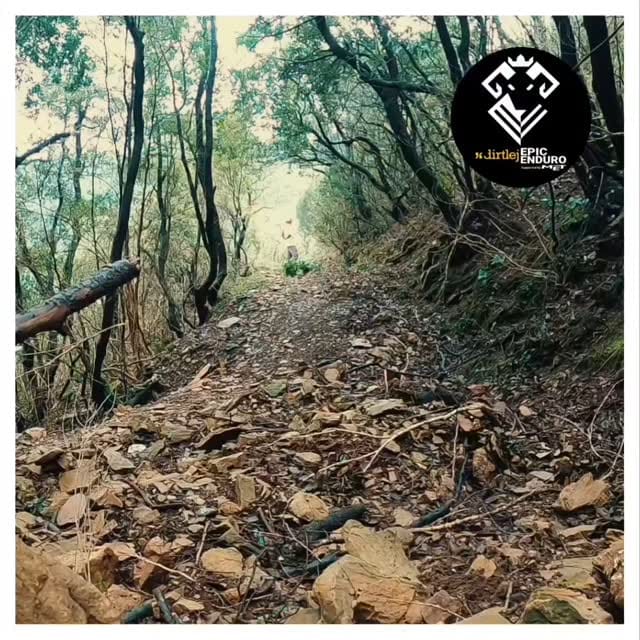 Post 8 by Théo Galy on Instagram (video)