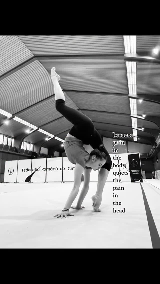 Post 2 by Annaliese Dragan on Instagram (video)