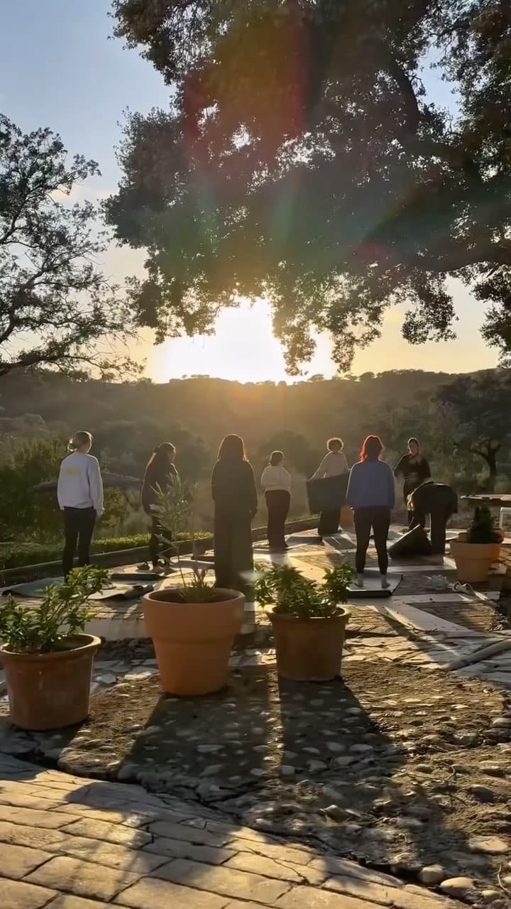 Post 8 by Tamara Abbas 🔆Naturotherapeuthe  & Formatrice en Breathwork🔆 on Instagram (video)
