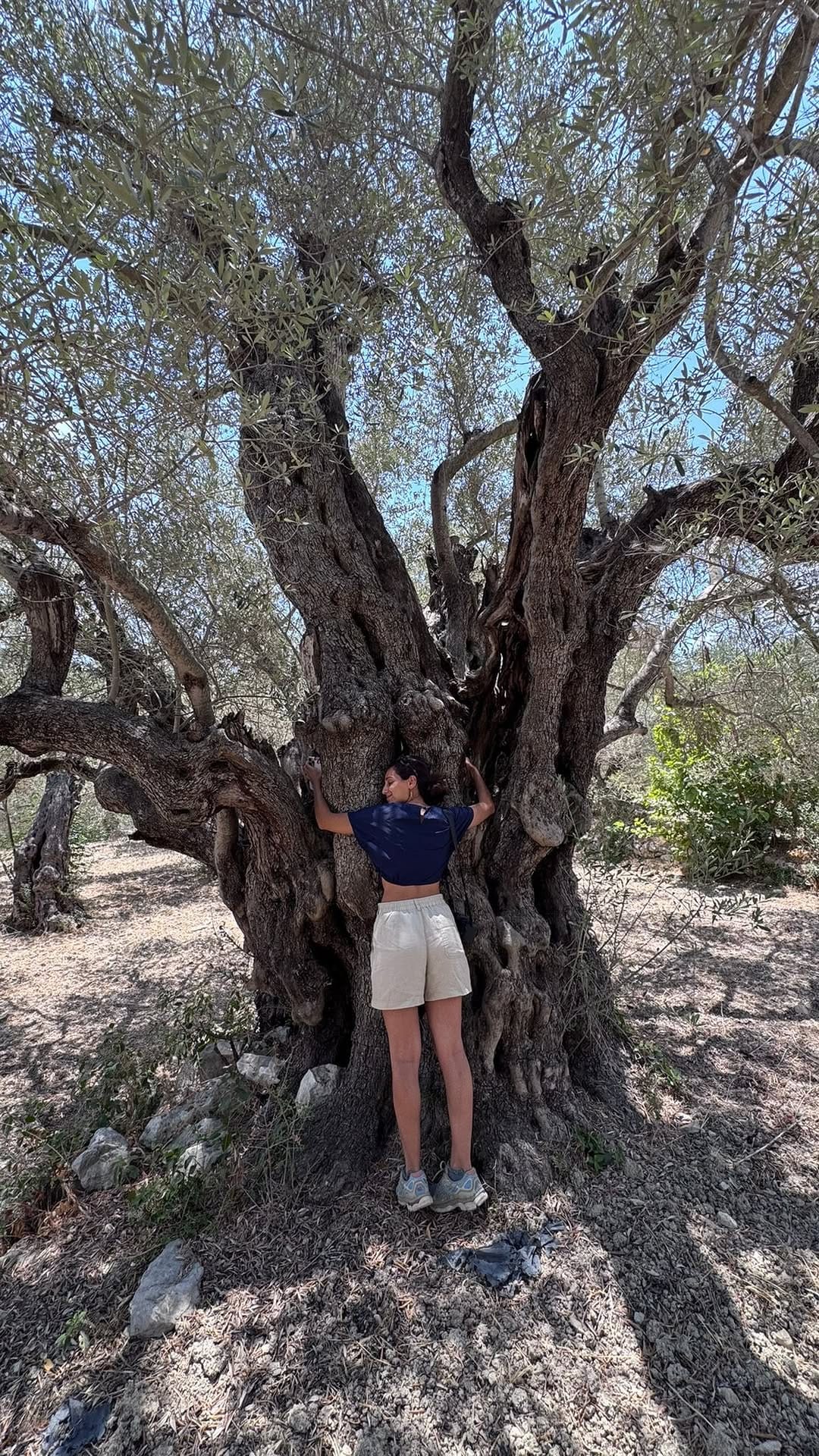 Post 5 by Tamara Abbas 🔆Naturotherapeuthe  & Formatrice en Breathwork🔆 on Instagram (video)