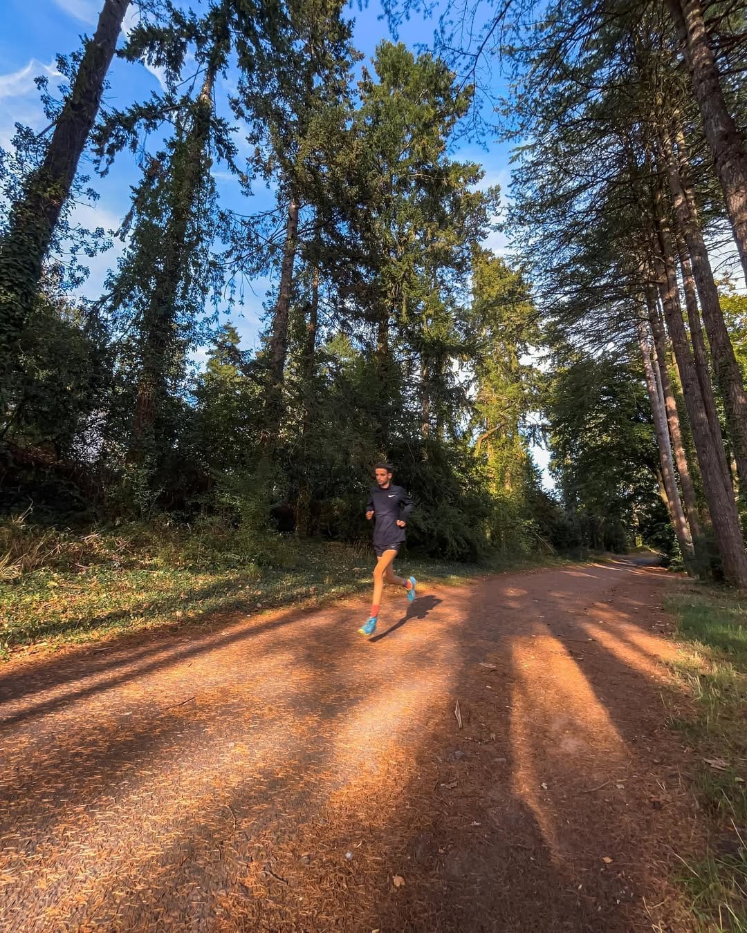 Post 6 by Elias Polion on Instagram (image)