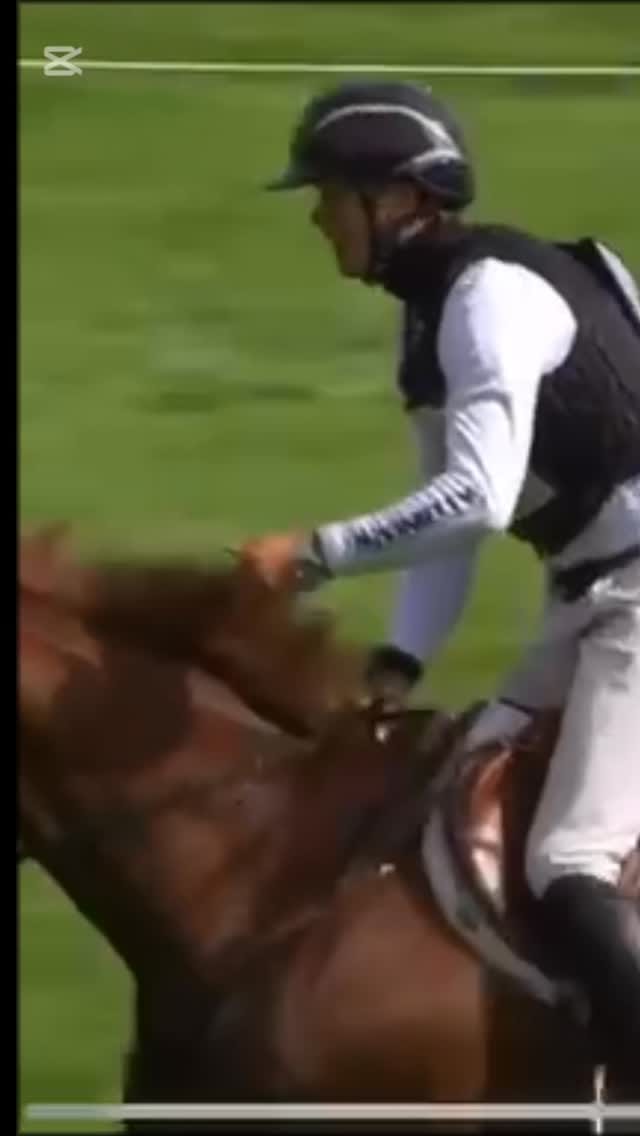 Post 4 by Sanna Siltakorpi, Elmo Jankari on Instagram (video)