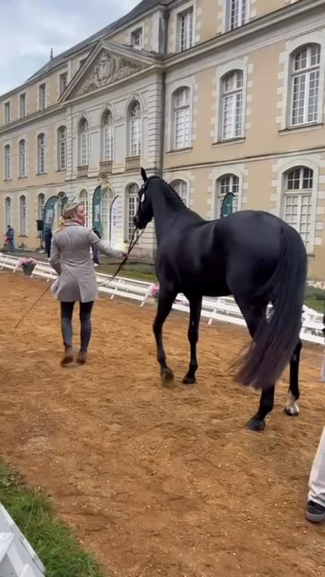 Post 9 by Sanna Siltakorpi, Elmo Jankari on Instagram (video)